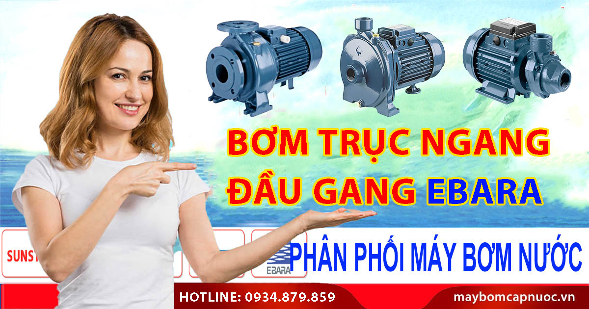 Bảng giá bơm trục ngang Ebara