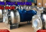 Máy Bơm Trục Ngang Đầu Inox 304 PENTAX Series CMS