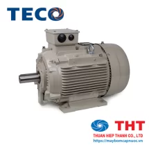 Động cơ điện Teco 6 cực