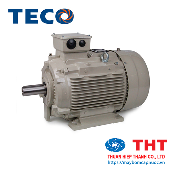 Motor TECO Công suất từ 1 HP đến 75HP 