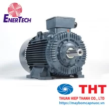 Động cơ vỏ gang 3 pha chân đế/mặt bích Enertech serie ESC 4-10HP