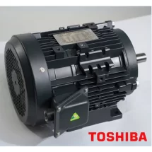 Động cơ điện TOSHIBA chân đế IE3