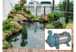Bộ lọc nước cho bể cá Koi là gì?